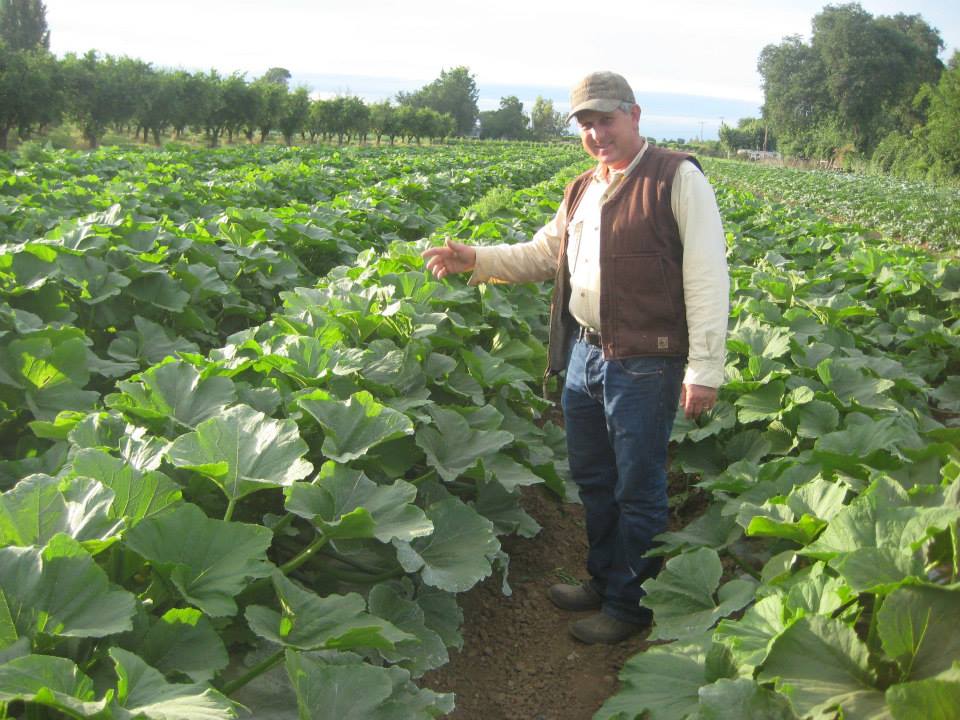 Gallery WOOLEY FARMS, INC.