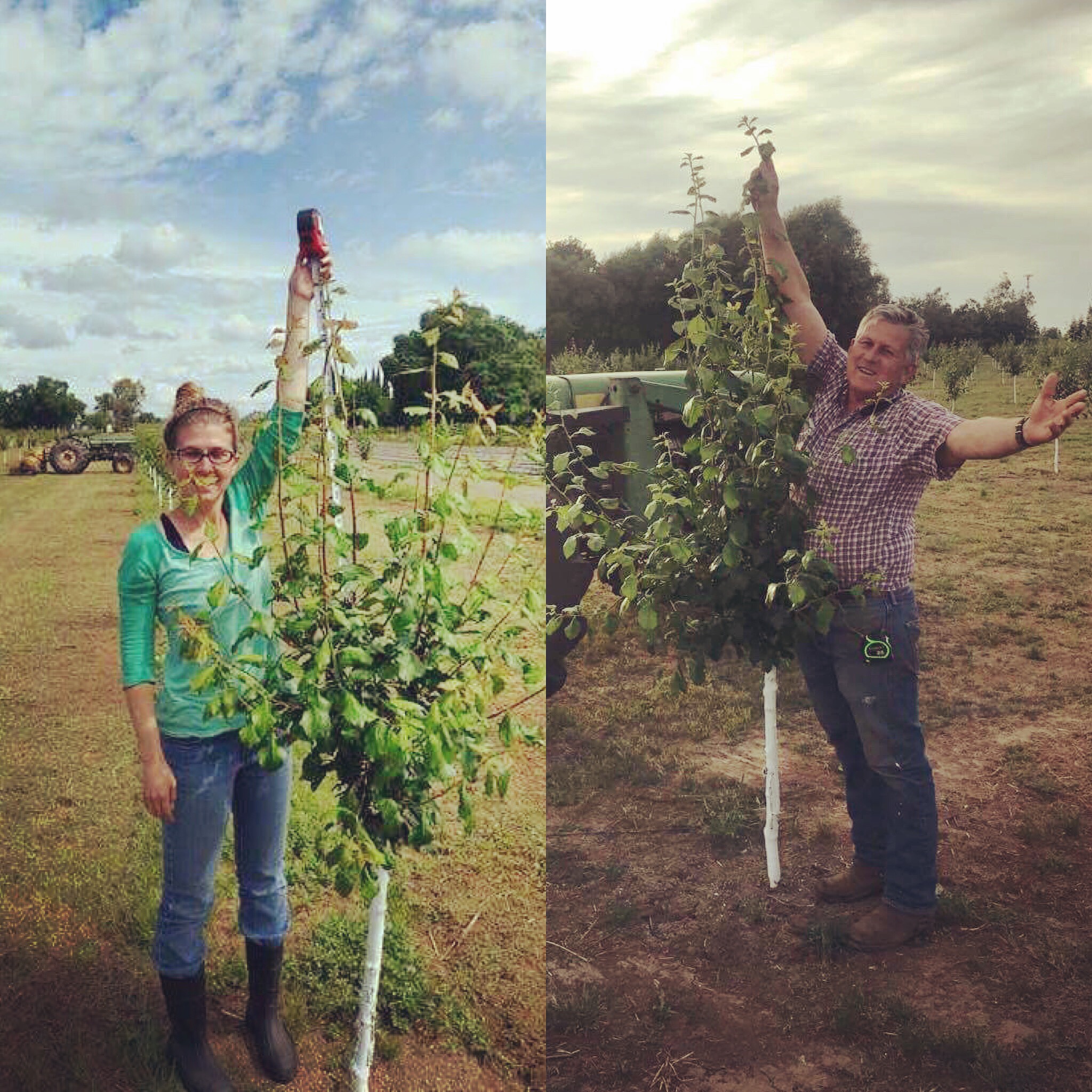 Gallery WOOLEY FARMS, INC.