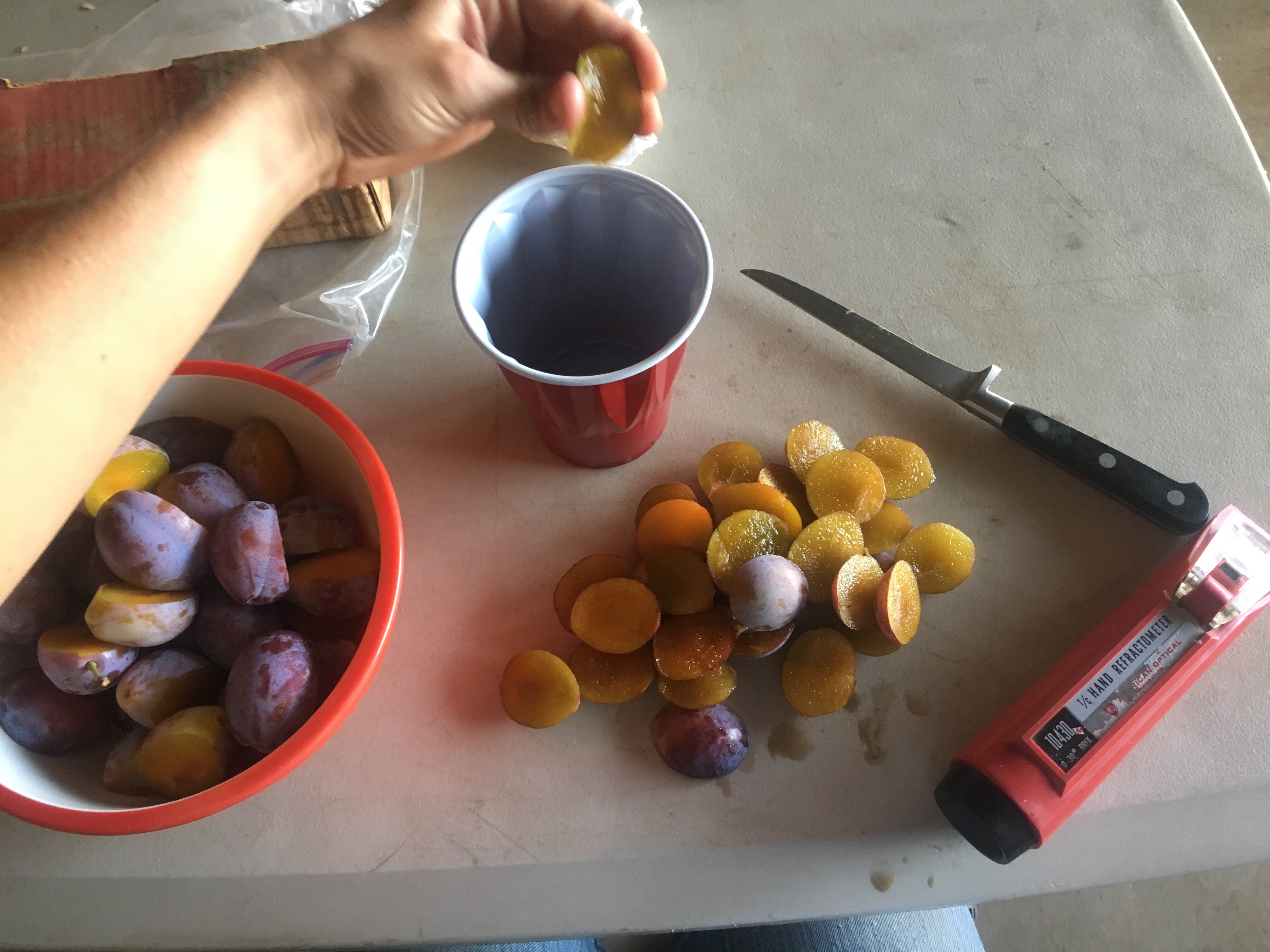 Gallery WOOLEY FARMS, INC.